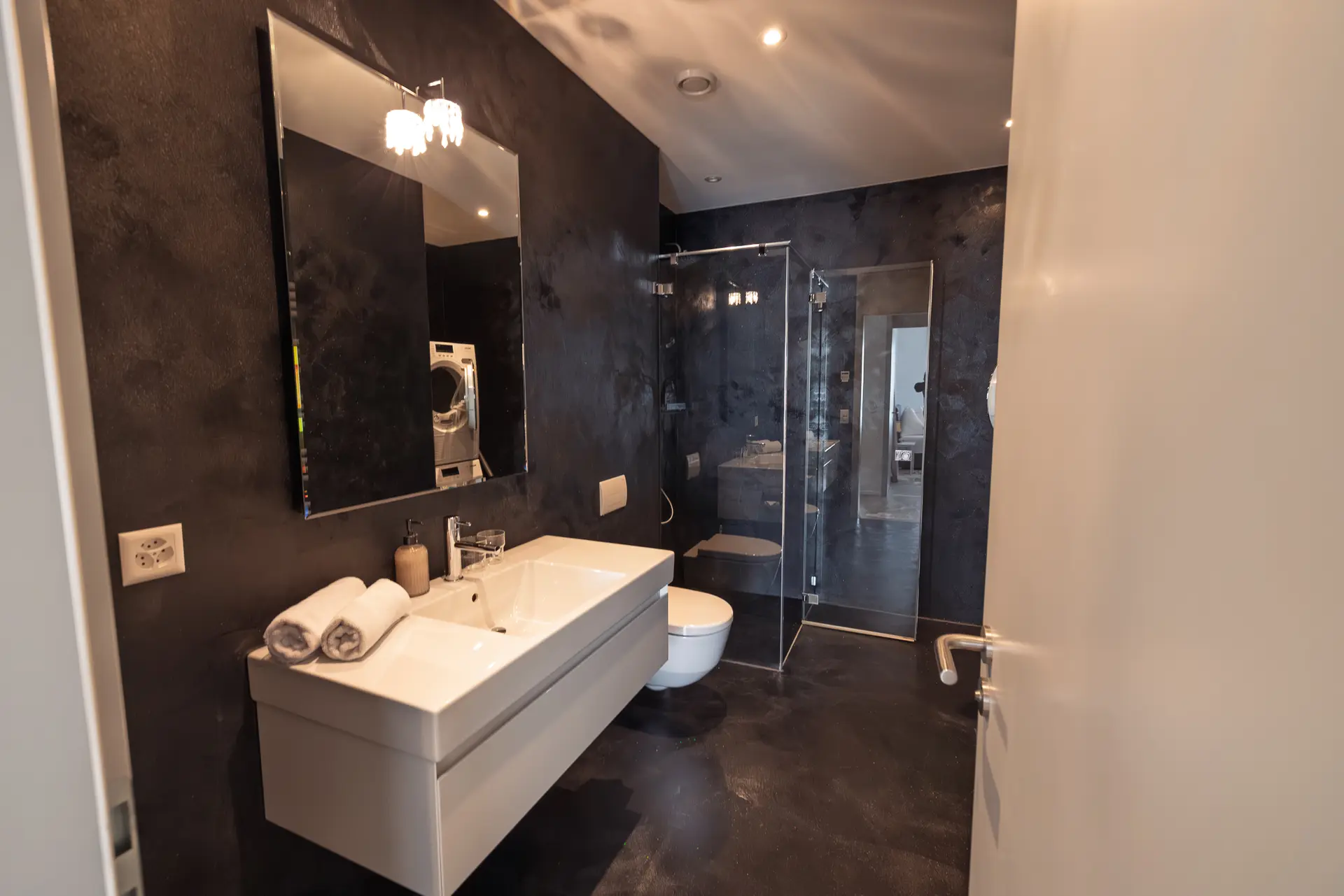 Second bathroom in dark tones